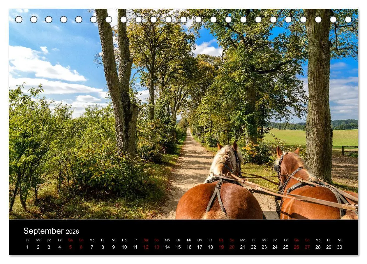 Bild: 9783457869024 | Polen - Reise durch unser schönes Nachbarland (Tischkalender 2026...