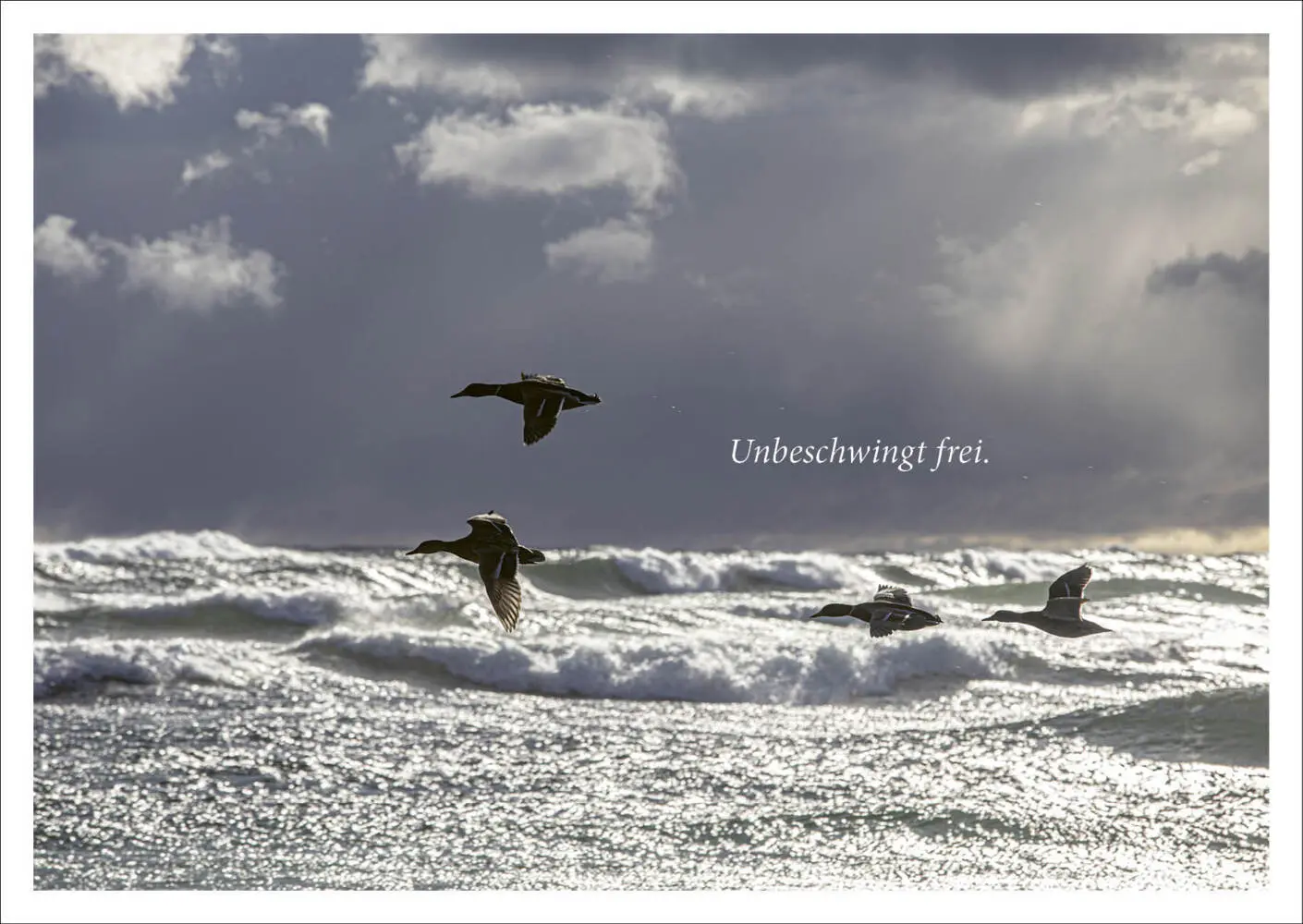 Bild: 4250454739124 | Post vom Meer - Postkartenset | Sehnsuchtsort &amp; Kraftquelle | Buch