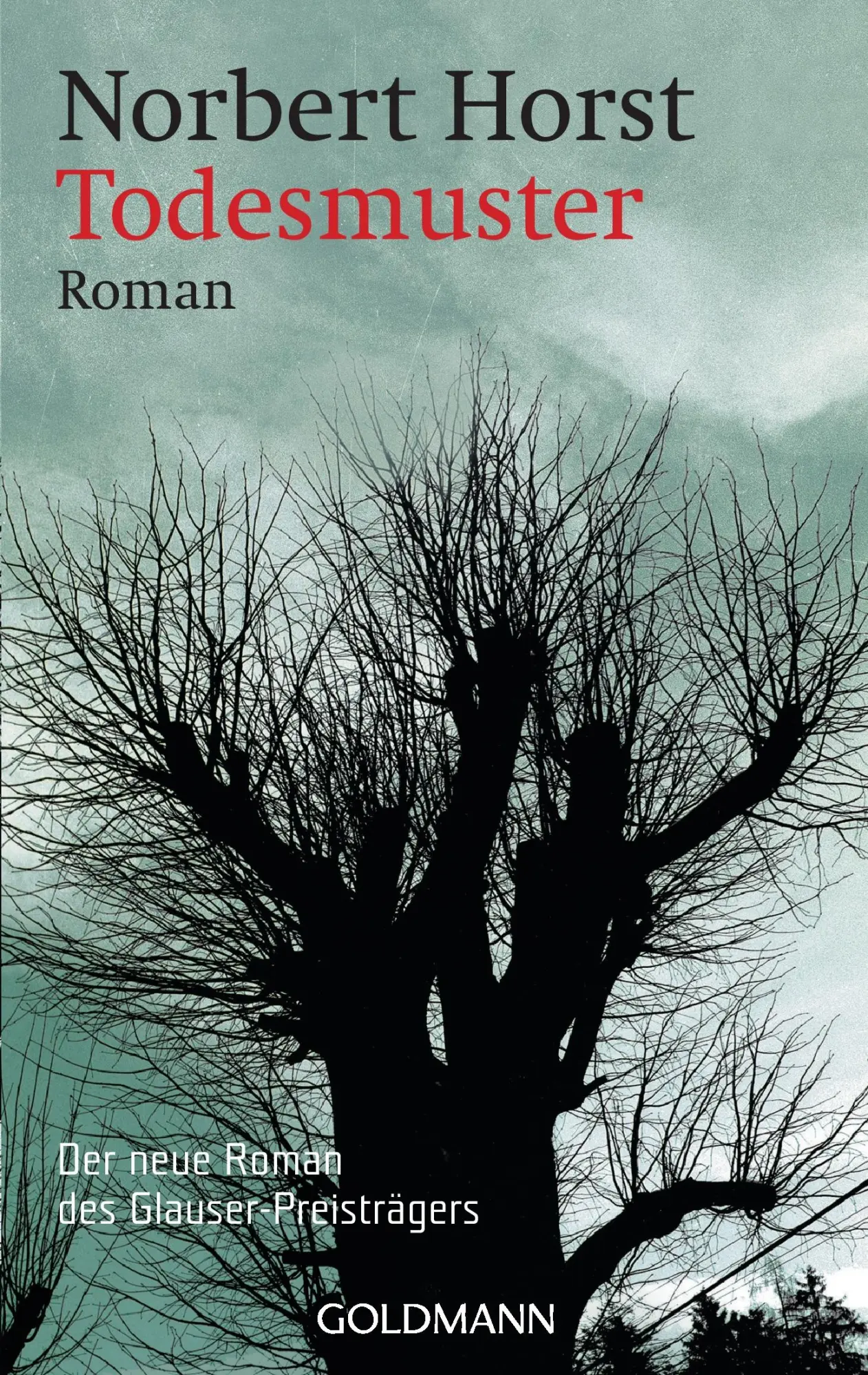 Cover: 9783442459124 | Todesmuster | Roman | Norbert Horst | Taschenbuch | 285 S. | Deutsch