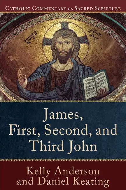 Cover: 9780801049224 | James, First, Second, and Third John | Daniel Keating (u. a.) | Buch