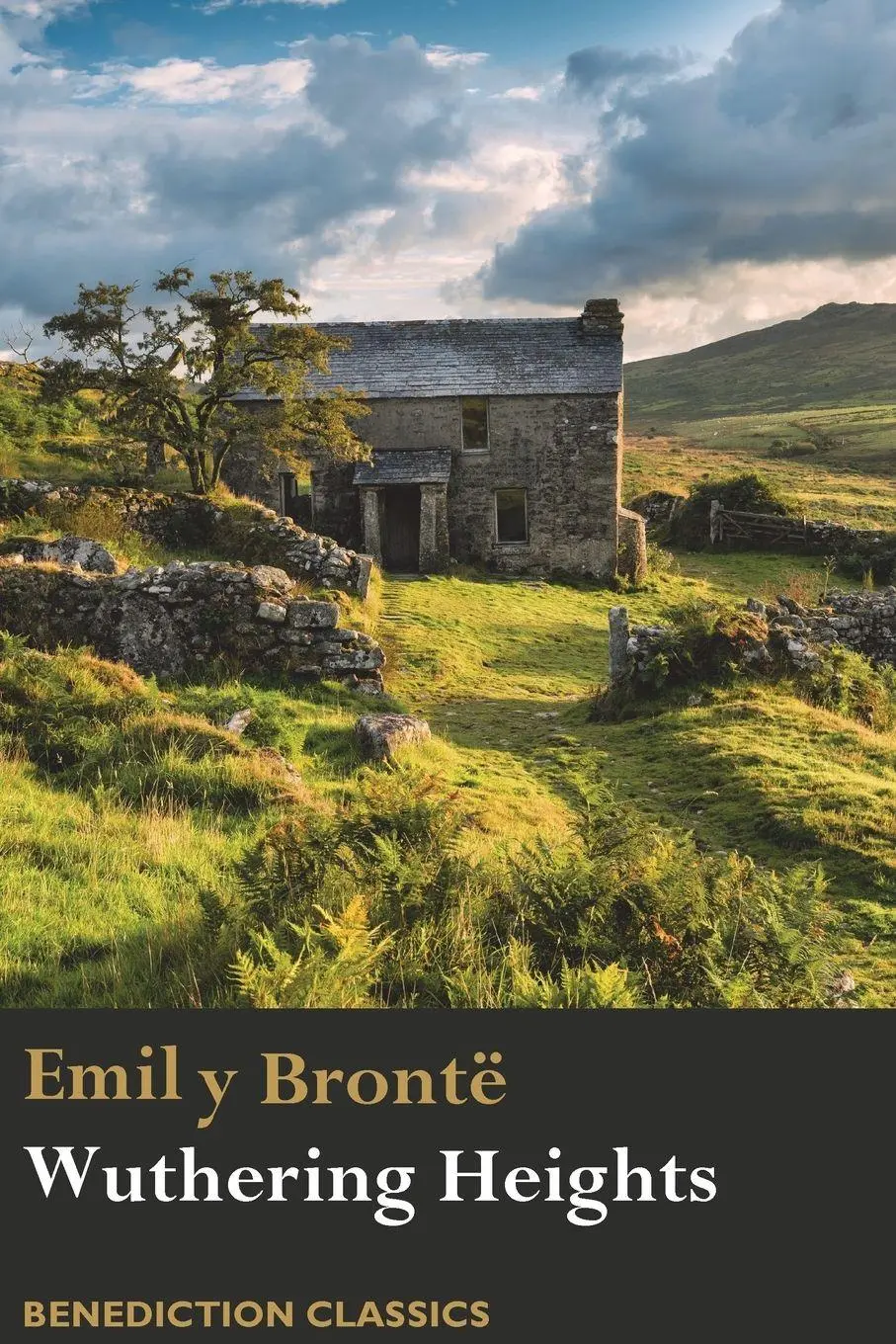 Cover: 9781781399224 | Wuthering Heights | Emily Brontë | Taschenbuch | Englisch | 2017