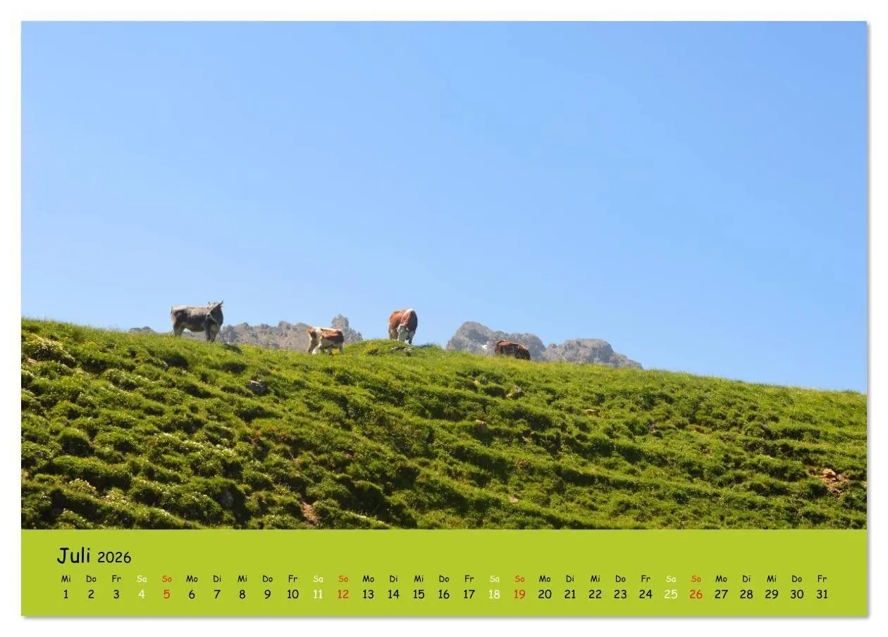 Bild: 9783516629224 | Kühe - Schönheiten der Alpen (Tischkalender 2026 DIN A5 quer),...