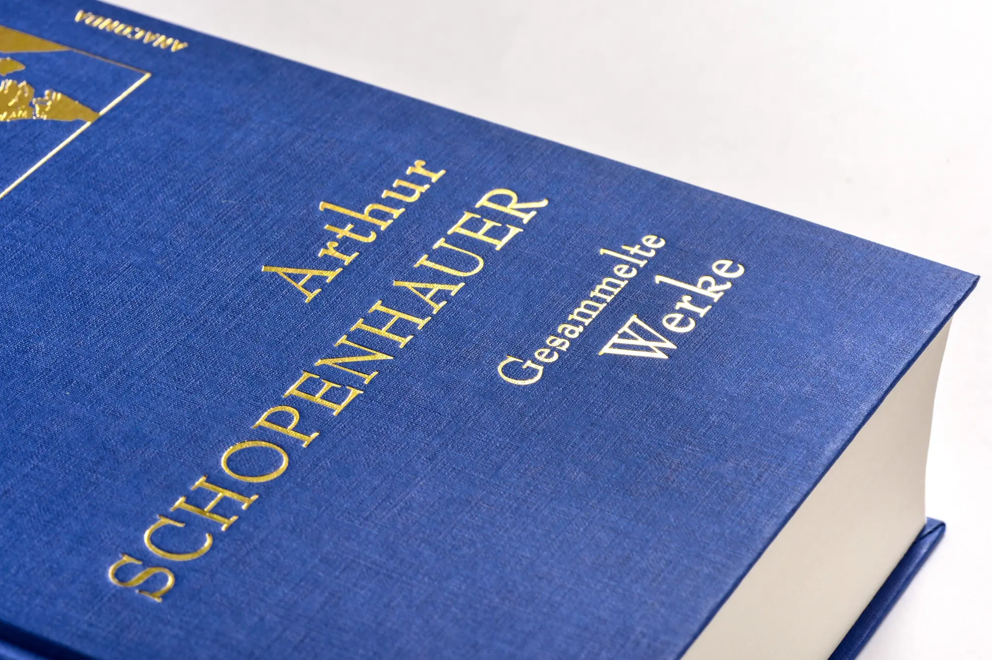 Bild: 9783730609224 | Arthur Schopenhauer, Gesammelte Werke | Arthur Schopenhauer | Buch
