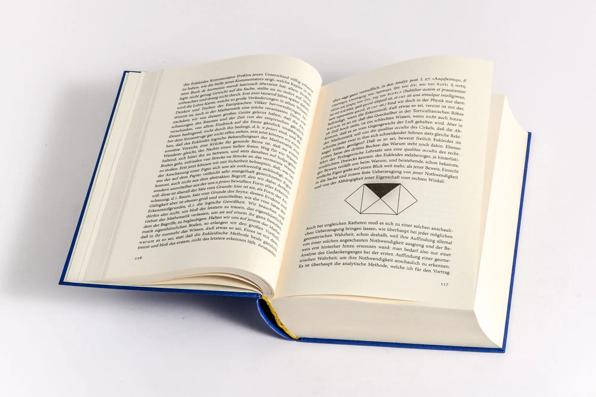 Bild: 9783730609224 | Arthur Schopenhauer, Gesammelte Werke | Arthur Schopenhauer | Buch