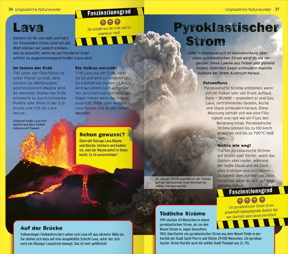 Bild: 9783845859224 | Die 100 unglaublichsten Dinge der Welt | Cool, krass, sensationell!
