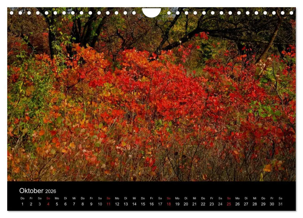 Bild: 9783516169324 | Donaudelta (Wandkalender 2026 DIN A4 quer), CALVENDO Monatskalender
