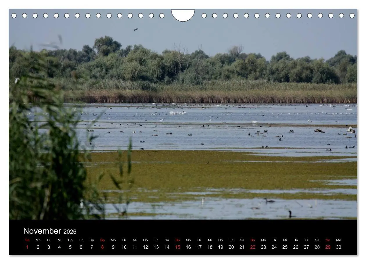 Bild: 9783516169324 | Donaudelta (Wandkalender 2026 DIN A4 quer), CALVENDO Monatskalender