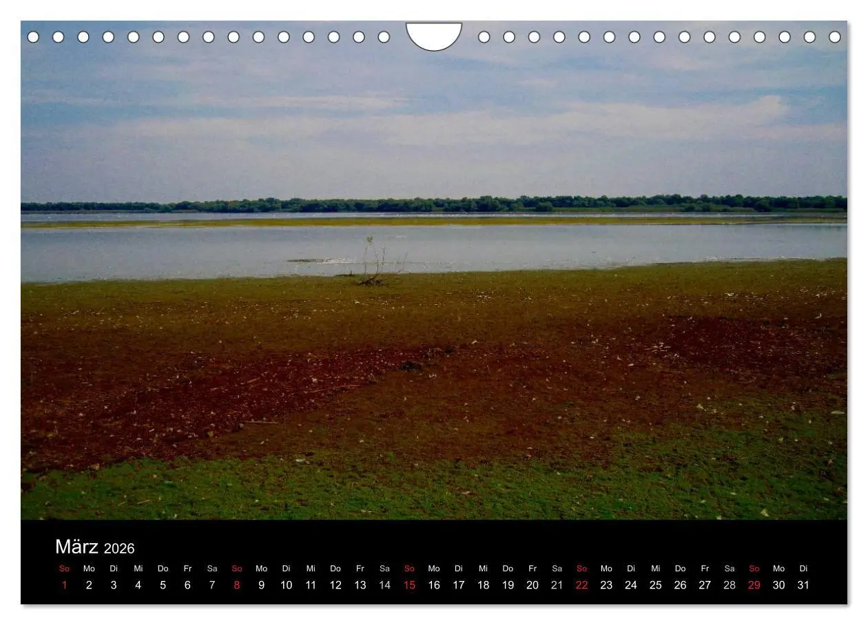 Bild: 9783516169324 | Donaudelta (Wandkalender 2026 DIN A4 quer), CALVENDO Monatskalender