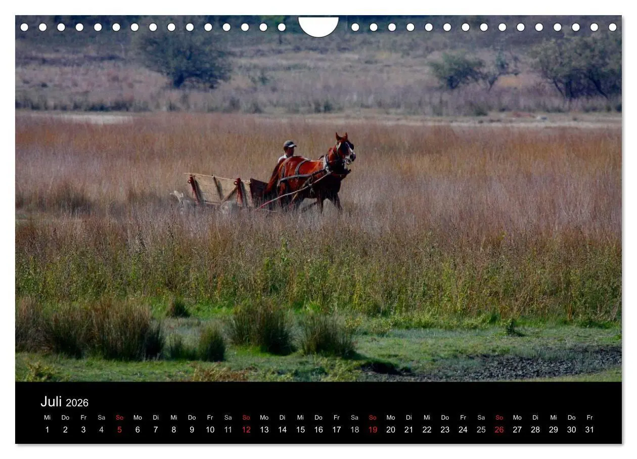 Bild: 9783516169324 | Donaudelta (Wandkalender 2026 DIN A4 quer), CALVENDO Monatskalender