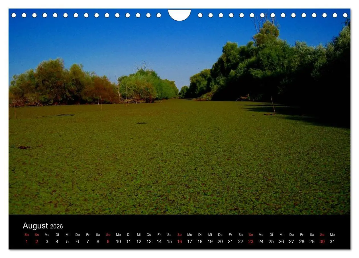 Bild: 9783516169324 | Donaudelta (Wandkalender 2026 DIN A4 quer), CALVENDO Monatskalender