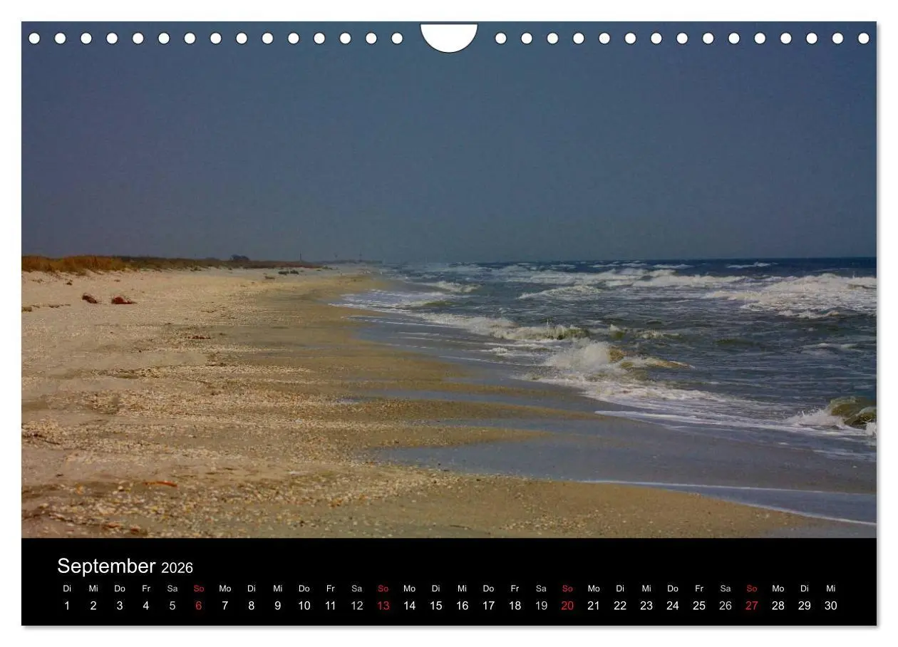 Bild: 9783516169324 | Donaudelta (Wandkalender 2026 DIN A4 quer), CALVENDO Monatskalender