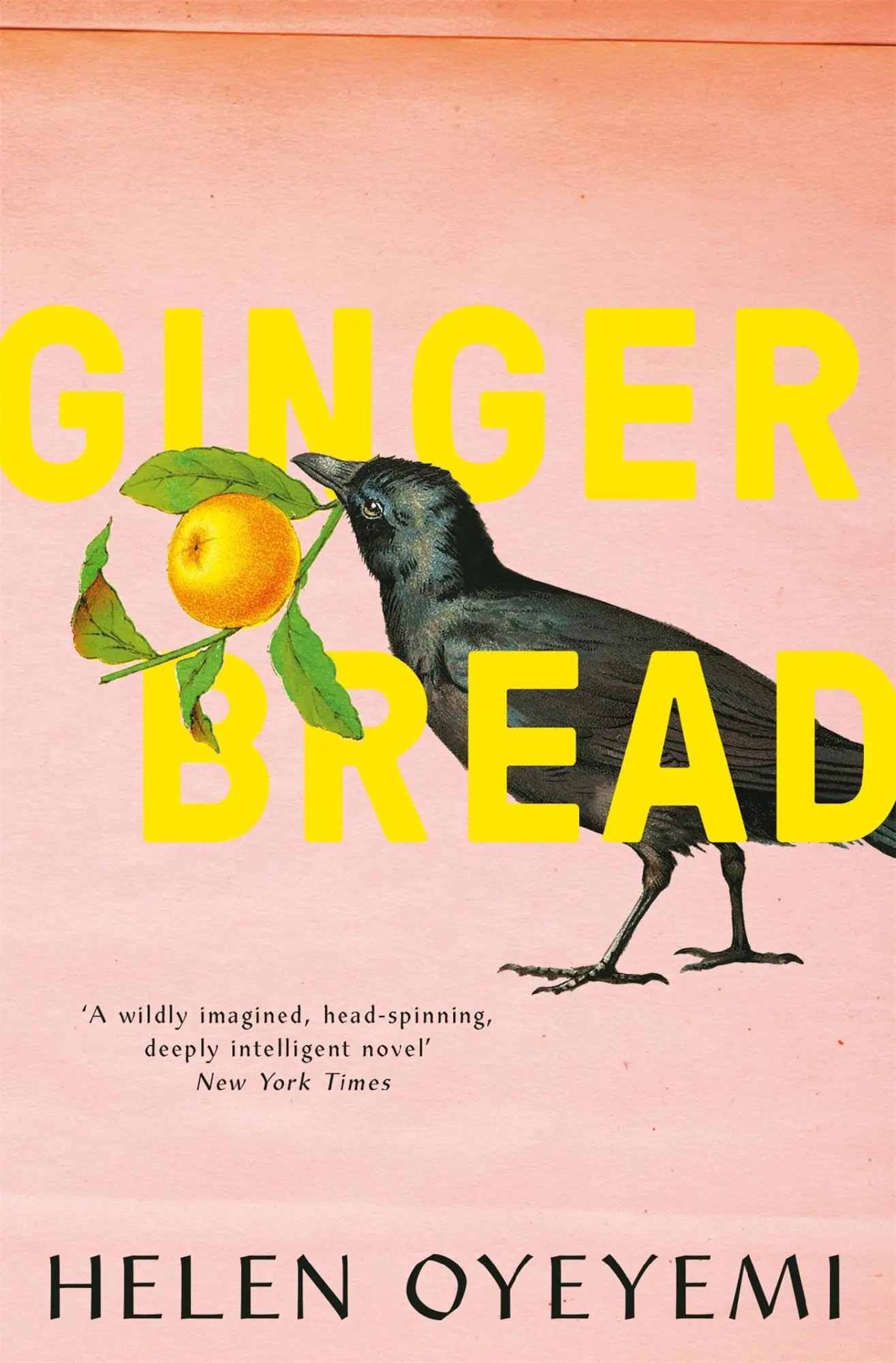 Cover: 9781447299424 | Gingerbread | Helen Oyeyemi | Taschenbuch | 304 S. | Englisch | 2020