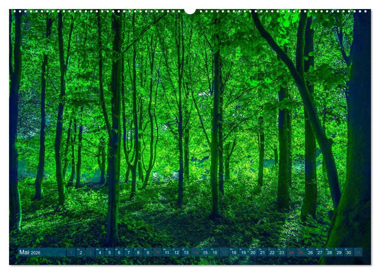 Bild: 9783457689424 | Bielefeld - Der Obersee - unendliche Motive... (hochwertiger...