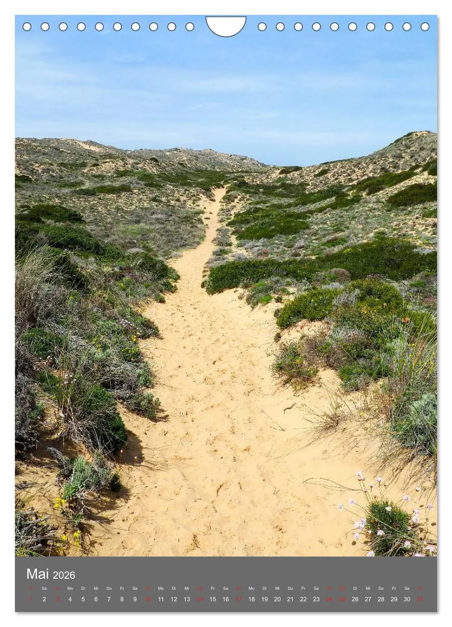 Bild: 9783516399424 | Rota Vicentina (Wandkalender 2026 DIN A4 hoch), CALVENDO...