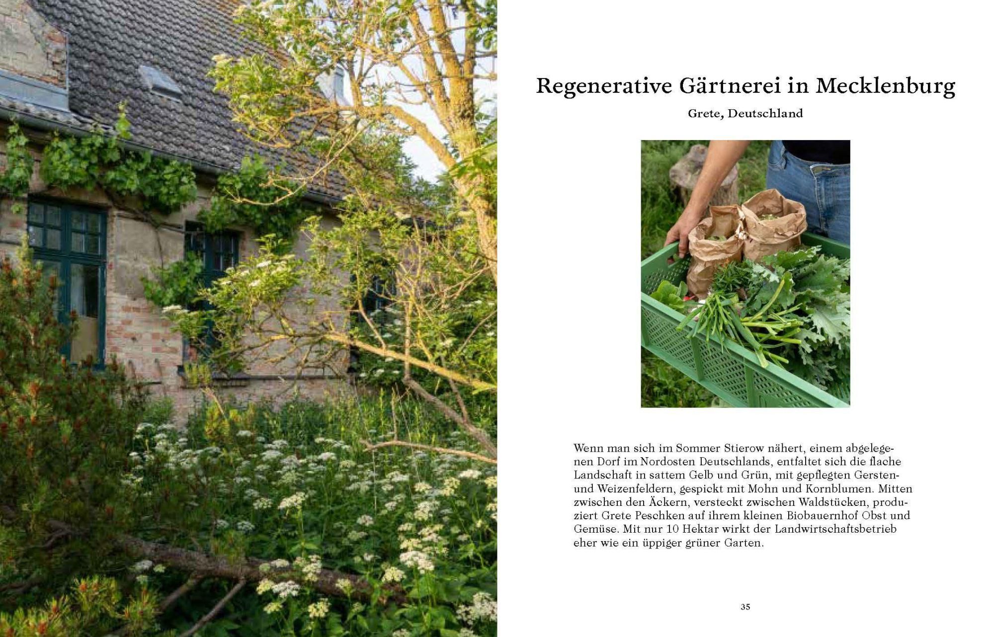 Bild: 9783791389424 | Call of the Wild | Der Traum vom autarken Leben in der Natur | Buch