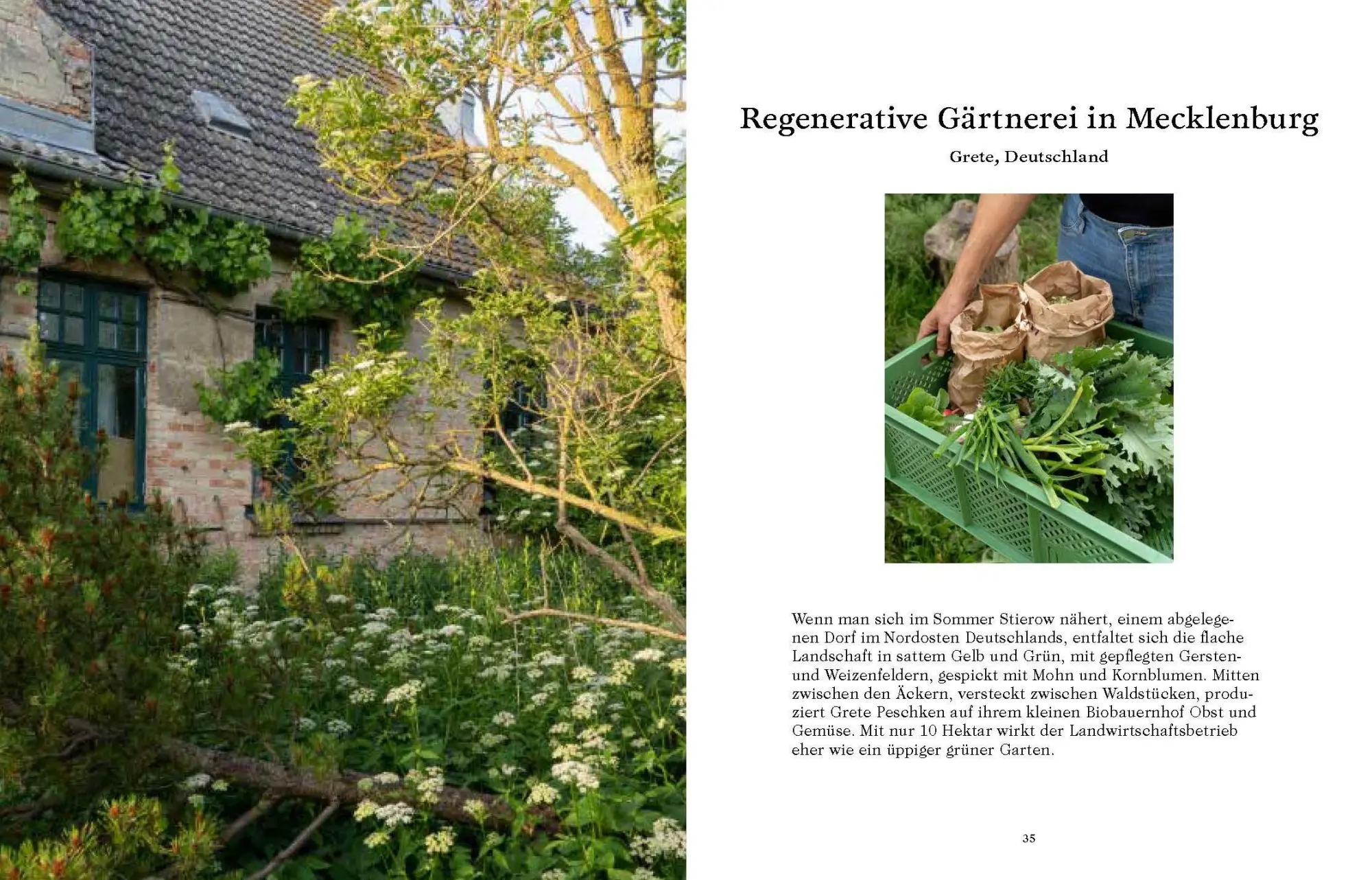 Bild: 9783791389424 | Call of the Wild | Der Traum vom autarken Leben in der Natur | Buch