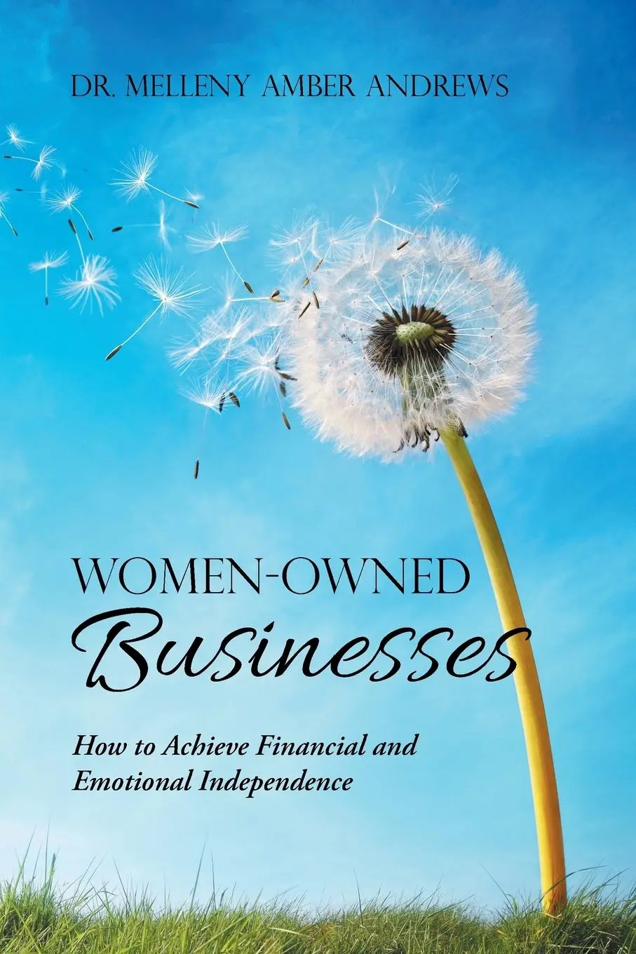 Cover: 9781504399524 | Women-Owned Businesses | Melleny Amber Andrews | Taschenbuch | 2018