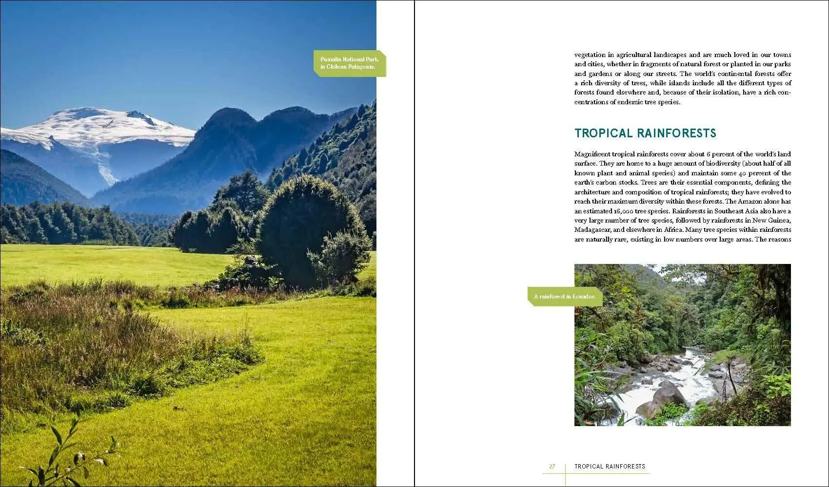 Bild: 9781604699524 | Rare Trees | Sara Oldfield (u. a.) | Buch | Gebunden | Englisch | 2023