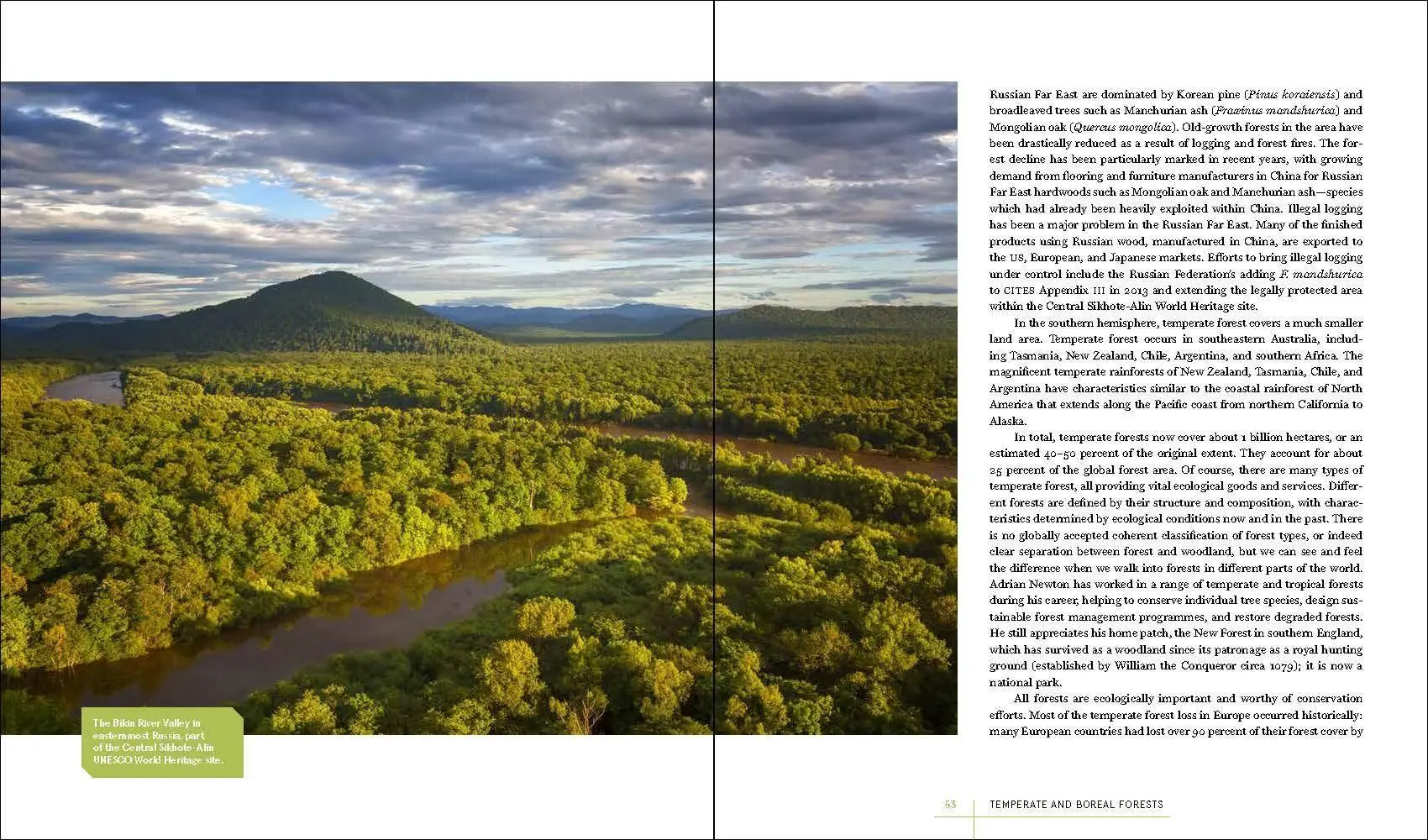 Bild: 9781604699524 | Rare Trees | Sara Oldfield (u. a.) | Buch | Gebunden | Englisch | 2023
