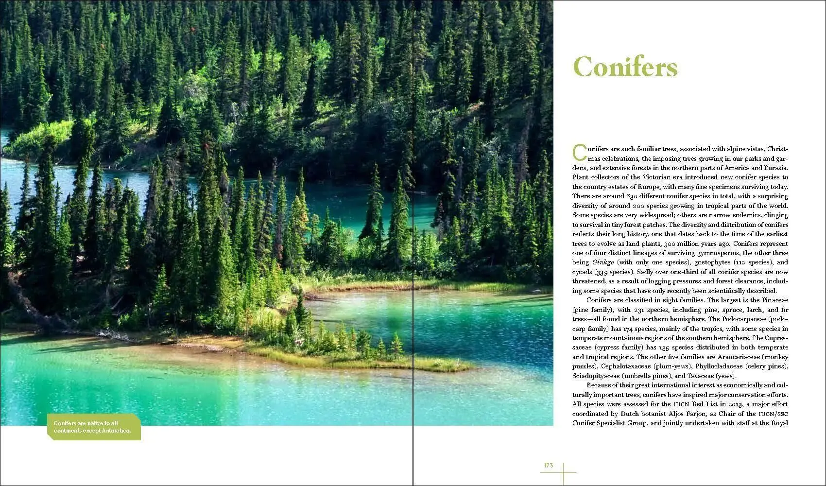 Bild: 9781604699524 | Rare Trees | Sara Oldfield (u. a.) | Buch | Gebunden | Englisch | 2023