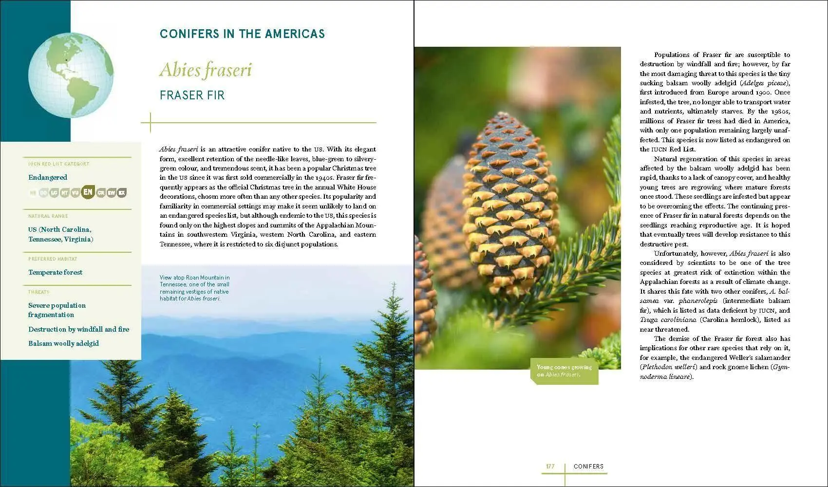 Bild: 9781604699524 | Rare Trees | Sara Oldfield (u. a.) | Buch | Gebunden | Englisch | 2023