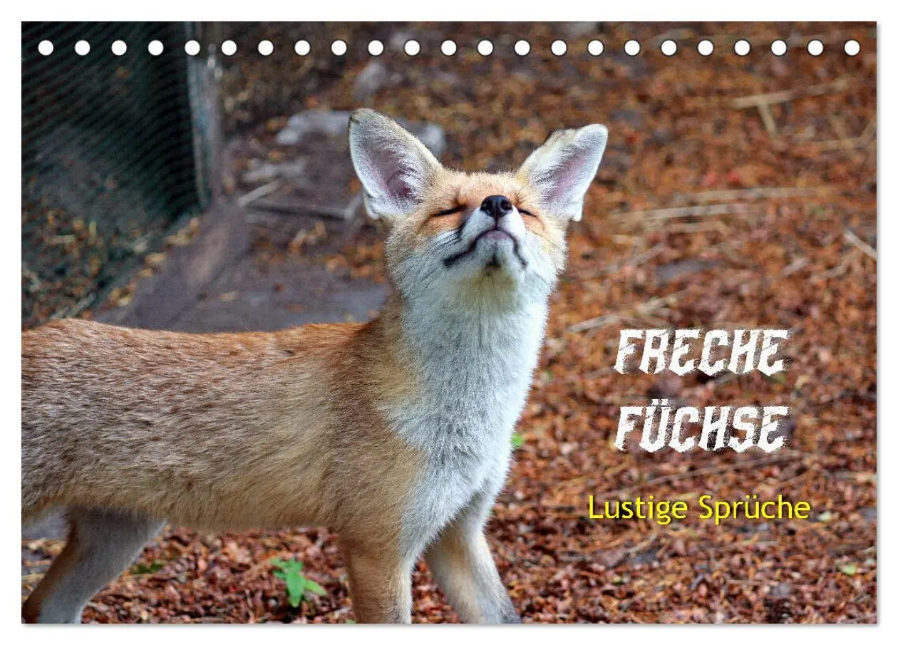 Cover: 9783457679524 | Freche Füchse - lustige Sprüche (Tischkalender 2026 DIN A5 quer),...