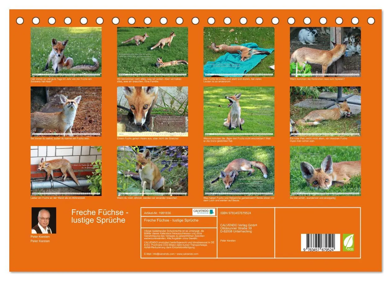 Bild: 9783457679524 | Freche Füchse - lustige Sprüche (Tischkalender 2026 DIN A5 quer),...