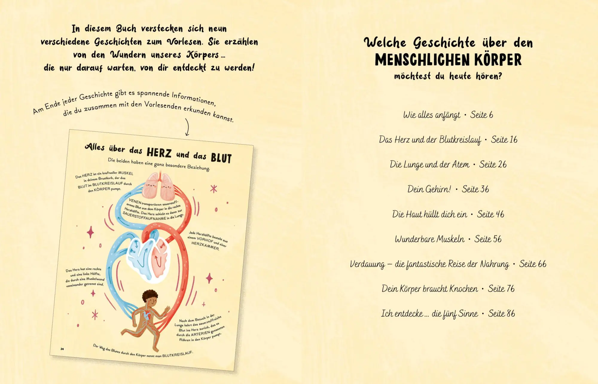 Bild: 9783745909524 | 5 Minuten Geschichten - Mein Körper, ein Wunder | Gabby Dawnay | Buch