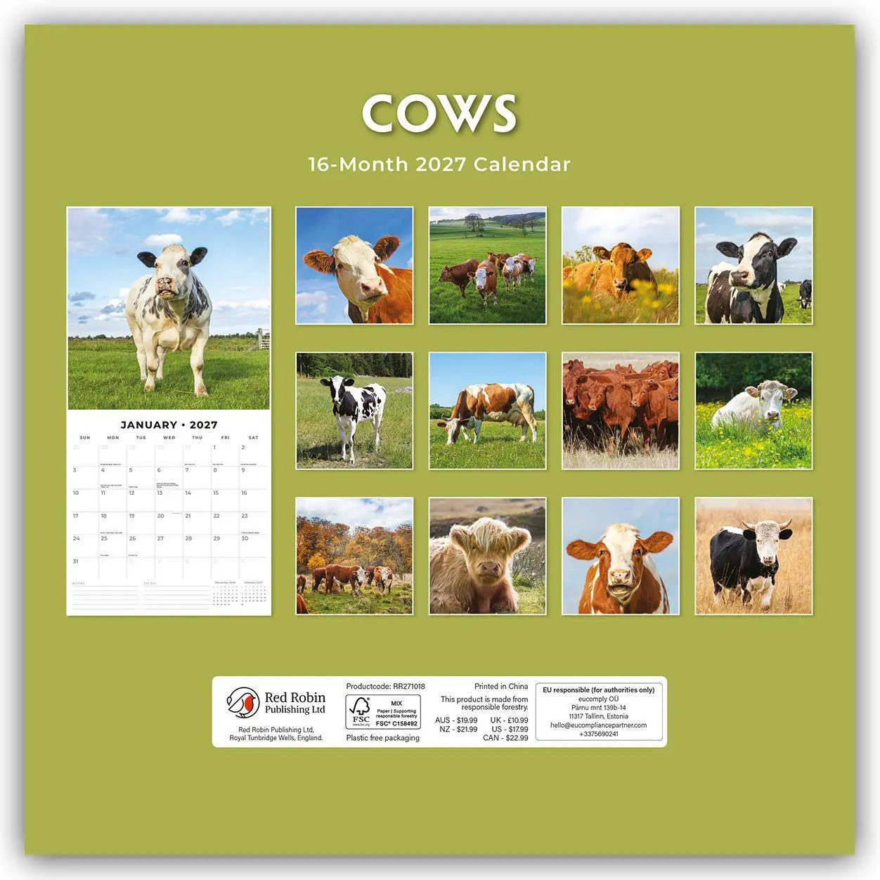 Rückseite: 9781804429624 | Cows - Kühe 2027 - 16-Monatskalender | Robin Red | Kalender | 28 S.