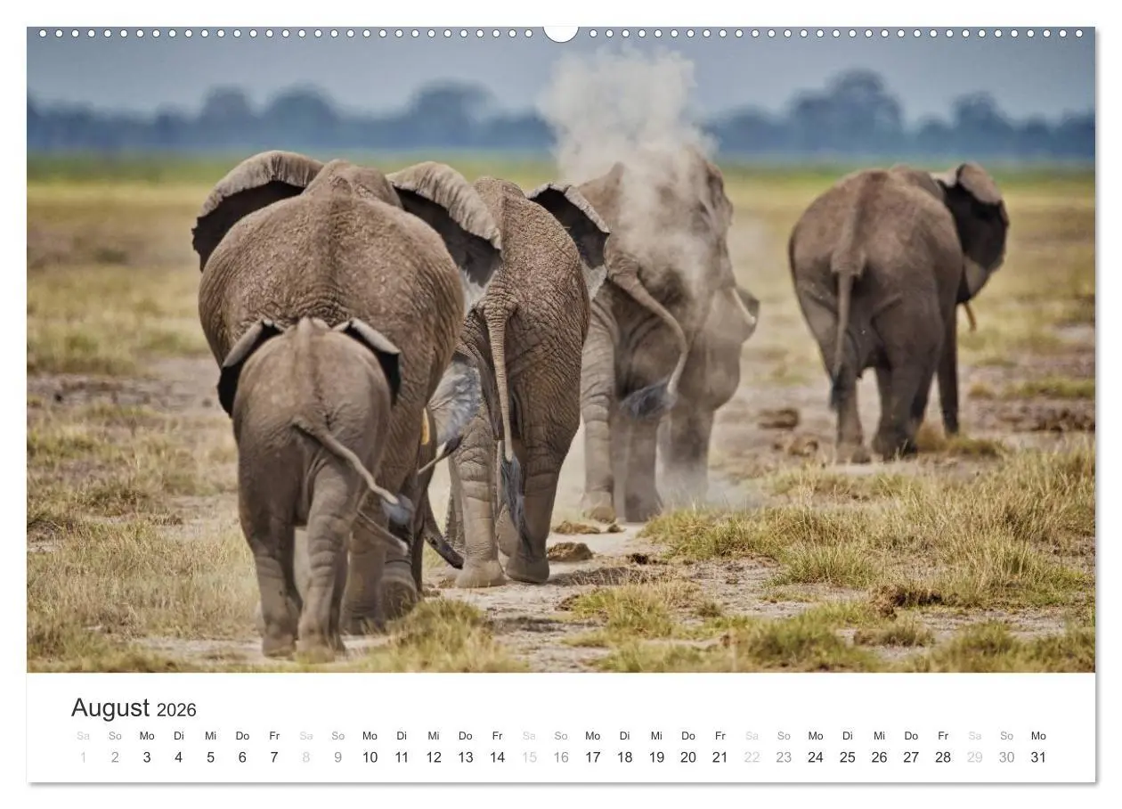 Bild: 9783457979624 | Elefanten - Sanfte Riesen in Afrika (hochwertiger Premium...