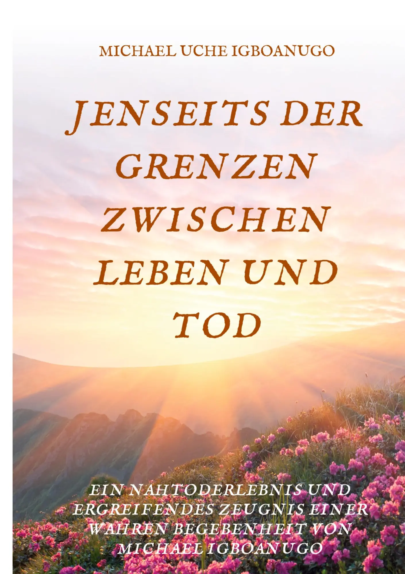 Cover: 9783743909724 | JENSEITS DER GRENZEN ZWISCHEN LEBEN UND TOD | Michael Uche Igboanugo