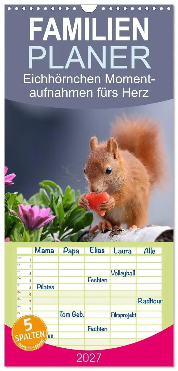 Cover: 9783594339824 | Familienplaner 2027 - Eichhörnchen Momentaufnahmen fürs Herz mit 5...