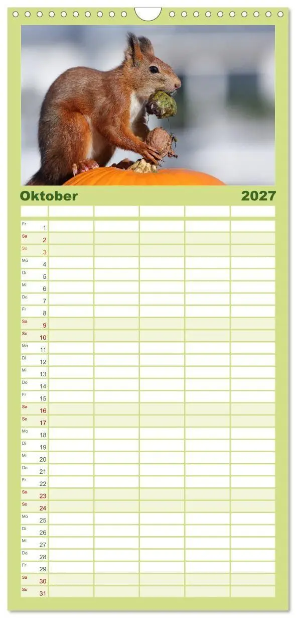 Bild: 9783594339824 | Familienplaner 2027 - Eichhörnchen Momentaufnahmen fürs Herz mit 5...
