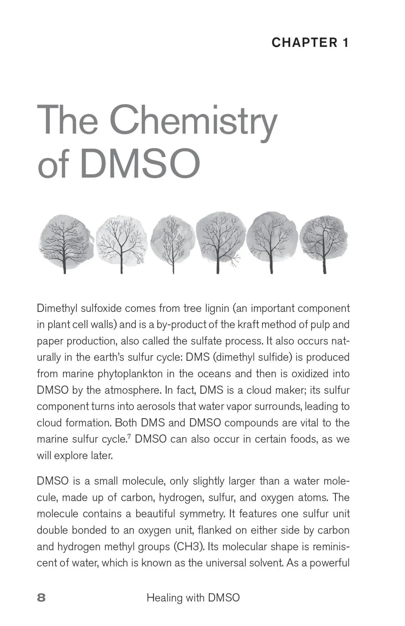 Bild: 9781646040025 | Healing with DMSO | Amandha Dawn Vollmer | Taschenbuch | Englisch