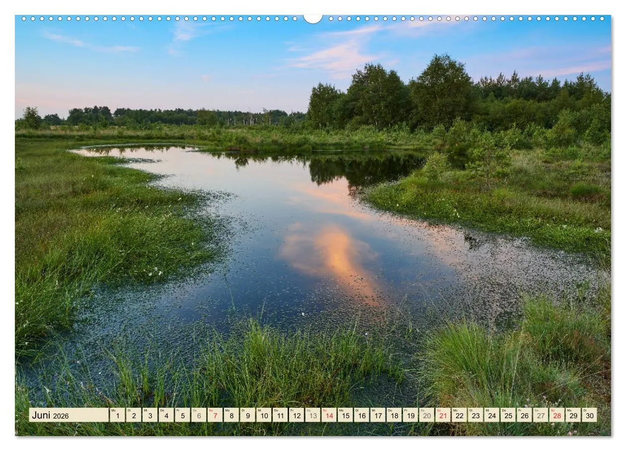 Bild: 9783457680025 | Niedersachsens Natur (hochwertiger Premium Wandkalender 2026 DIN A2...