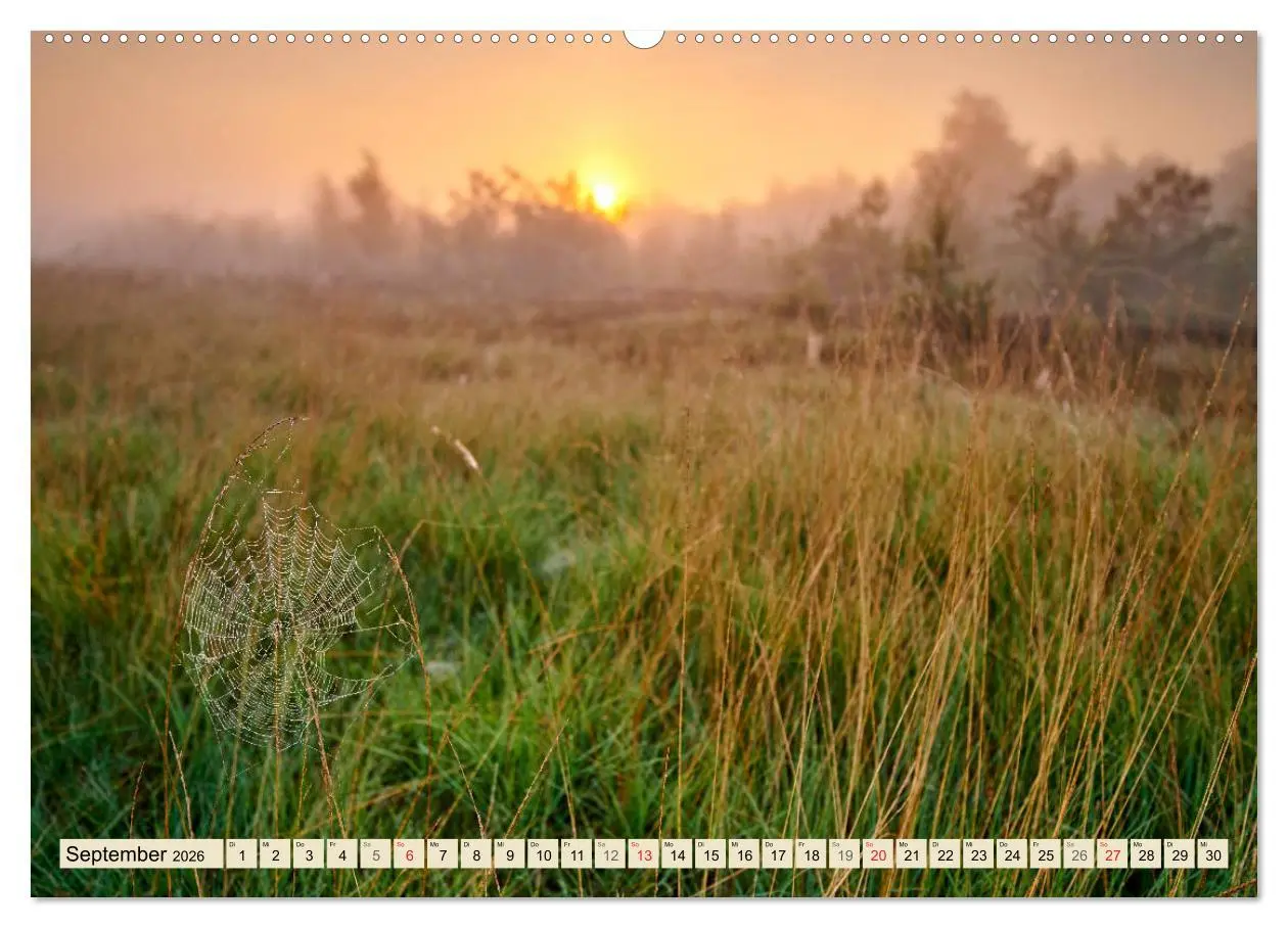 Bild: 9783457680025 | Niedersachsens Natur (hochwertiger Premium Wandkalender 2026 DIN A2...