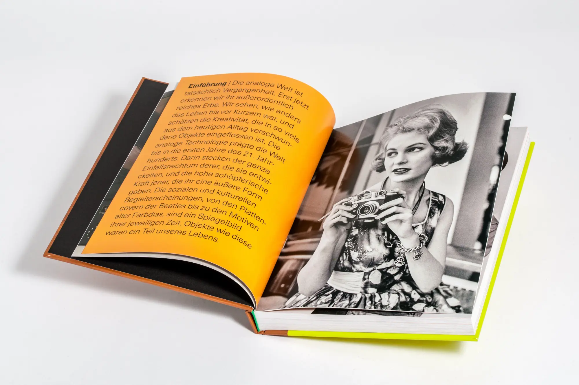 Bild: 9783791380025 | Analog | Deyan Sudjic | Buch | 304 S. | Deutsch | 2025 | Prestel