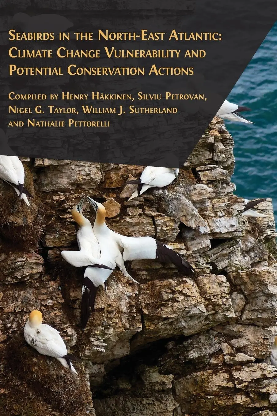 Cover: 9781805110125 | Seabirds in the North-East Atlantic | Henry Häkkinen (u. a.) | Buch