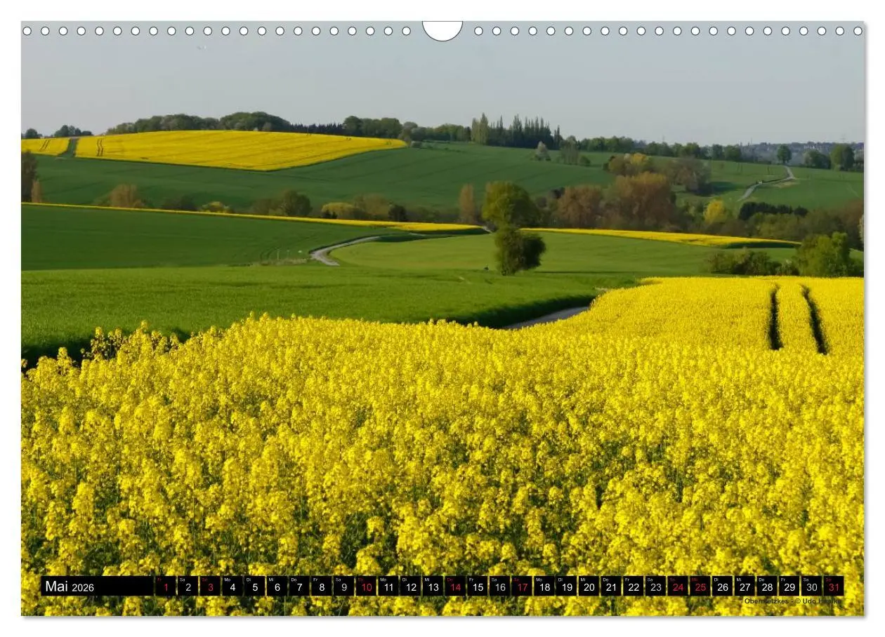 Bild: 9783516070125 | Mettmanner Bilderbogen 2026 (Wandkalender 2026 DIN A3 quer),...