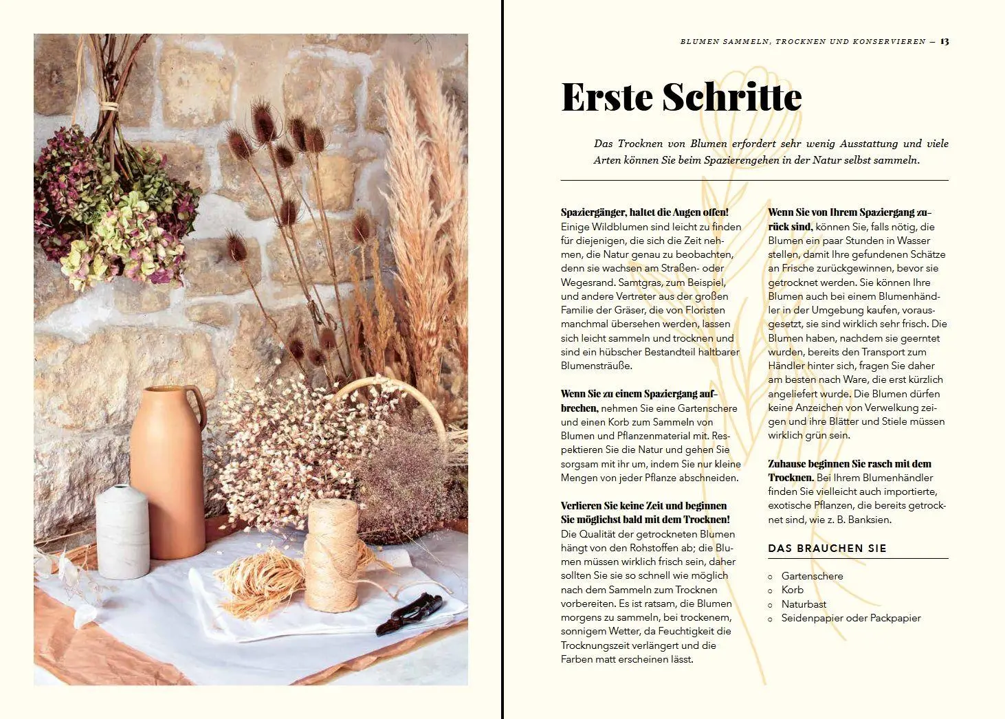 Bild: 9783702020125 | Zauberhafte Trockenblumen | Sammeln · Trocknen · Dekorieren | Buch