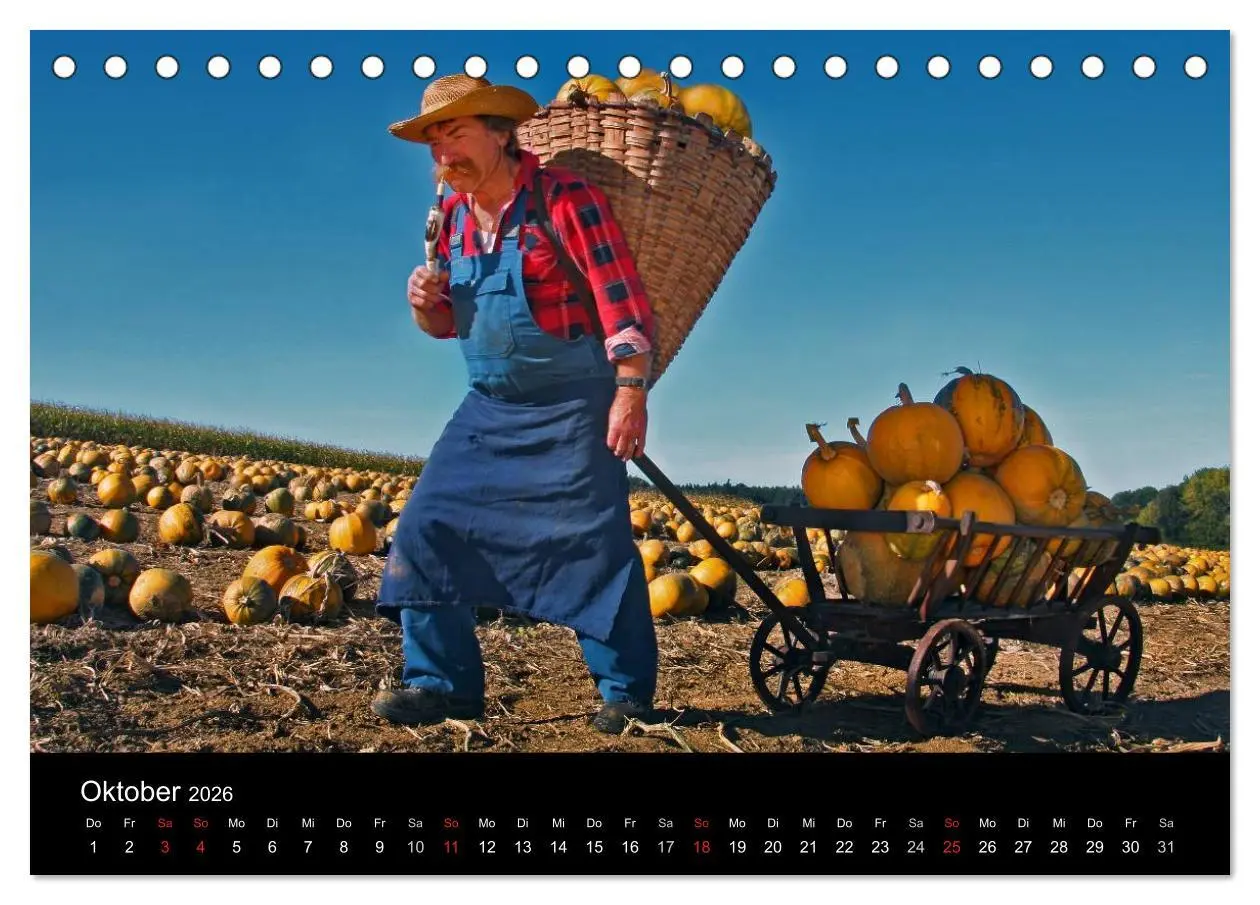 Bild: 9783516060225 | BAUERNSCHLAU 2026 (Tischkalender 2026 DIN A5 quer), CALVENDO...