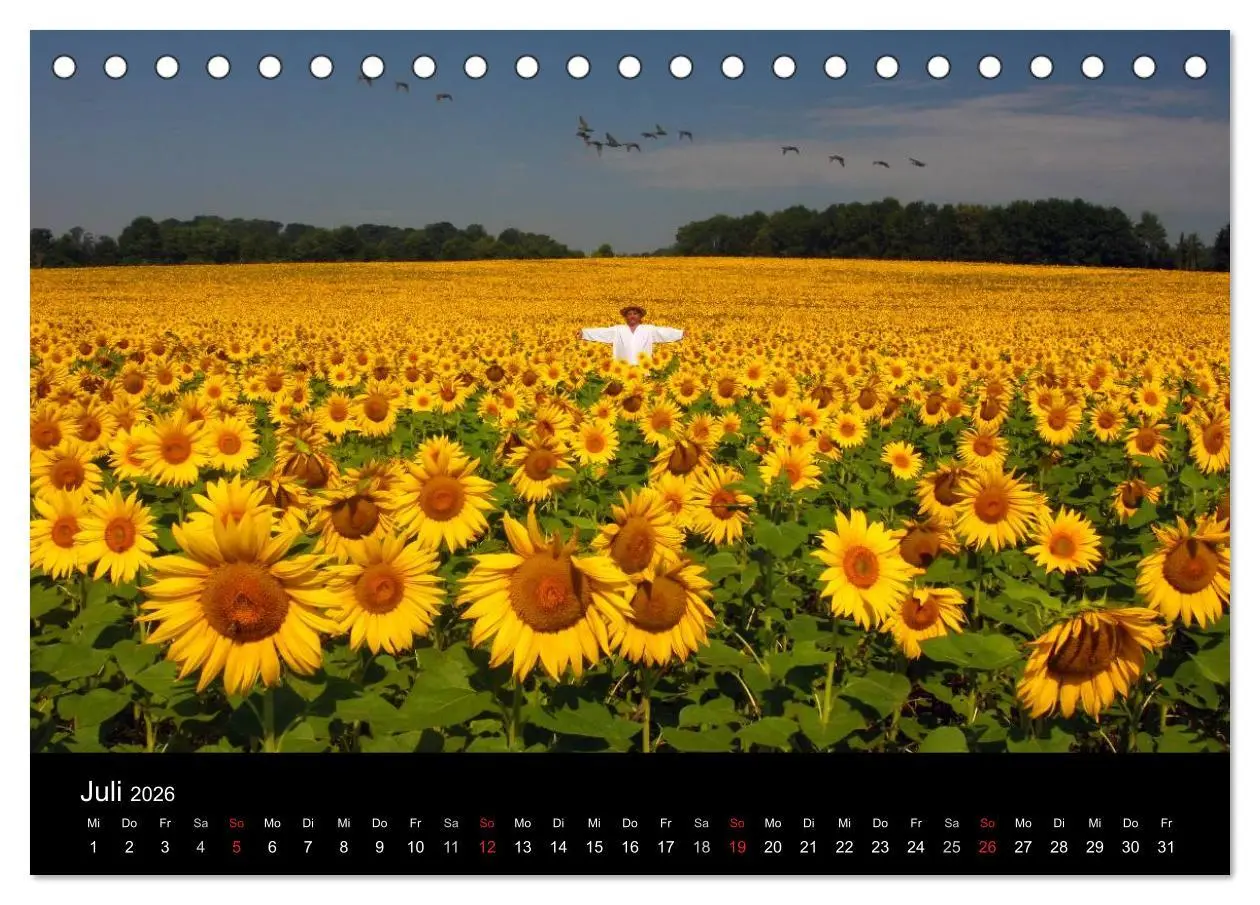 Bild: 9783516060225 | BAUERNSCHLAU 2026 (Tischkalender 2026 DIN A5 quer), CALVENDO...
