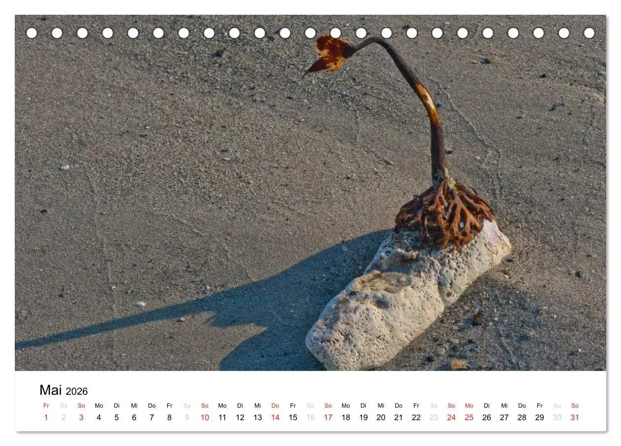 Bild: 9783516200225 | Helgoland (Tischkalender 2026 DIN A5 quer), CALVENDO Monatskalender