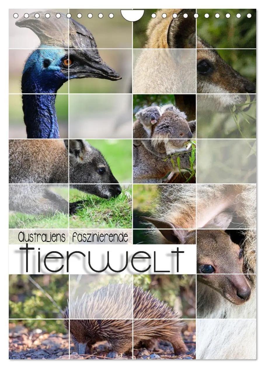 Cover: 9783516370225 | Australiens faszinierende Tierwelt (Wandkalender 2026 DIN A4 hoch),...