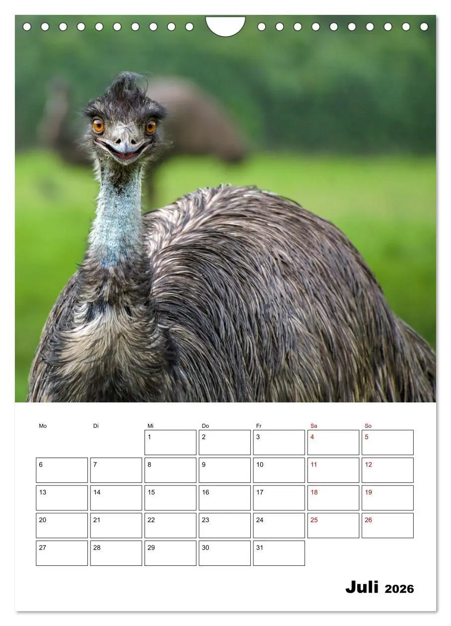 Bild: 9783516370225 | Australiens faszinierende Tierwelt (Wandkalender 2026 DIN A4 hoch),...