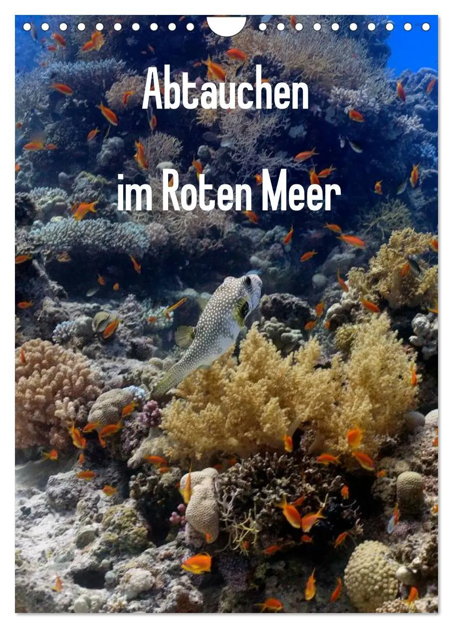 Cover: 9783516440225 | Abtauchen im Roten Meer (Wandkalender 2026 DIN A4 hoch), CALVENDO...