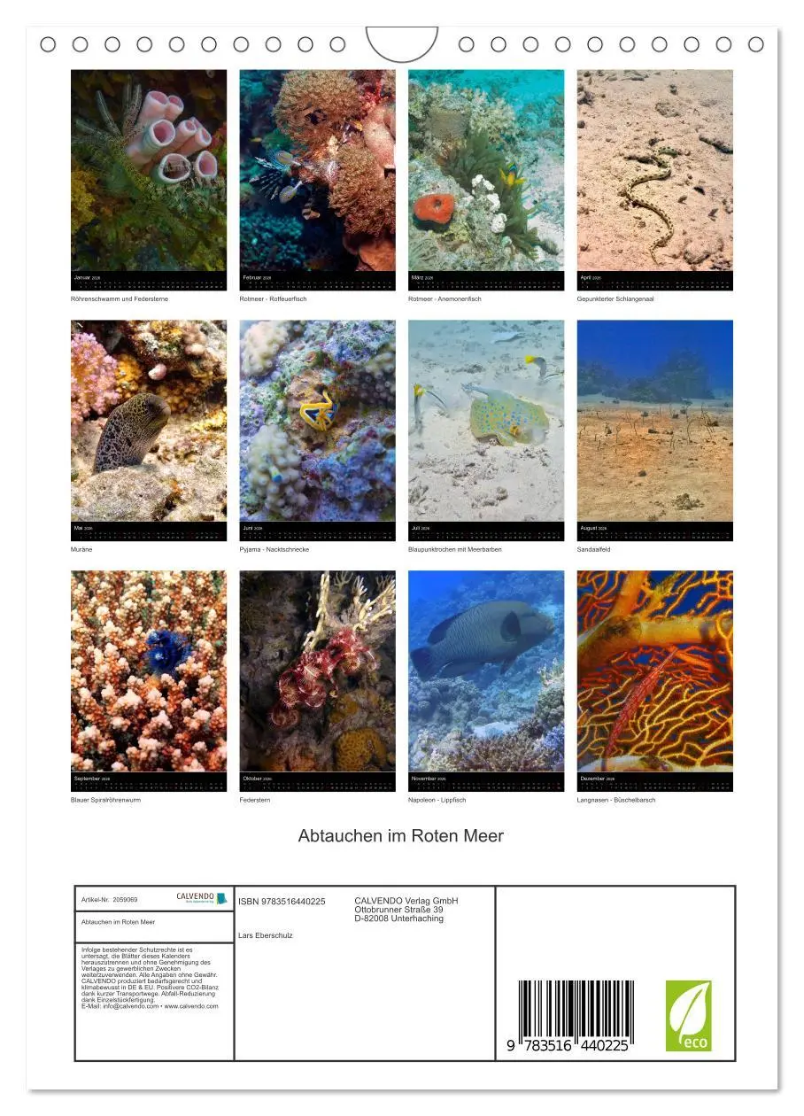 Bild: 9783516440225 | Abtauchen im Roten Meer (Wandkalender 2026 DIN A4 hoch), CALVENDO...