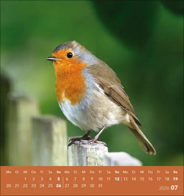 Bild: 9783731890225 | Vögel unserer Heimat 2026 | Verlag Korsch | Kalender | 13 S. | Deutsch