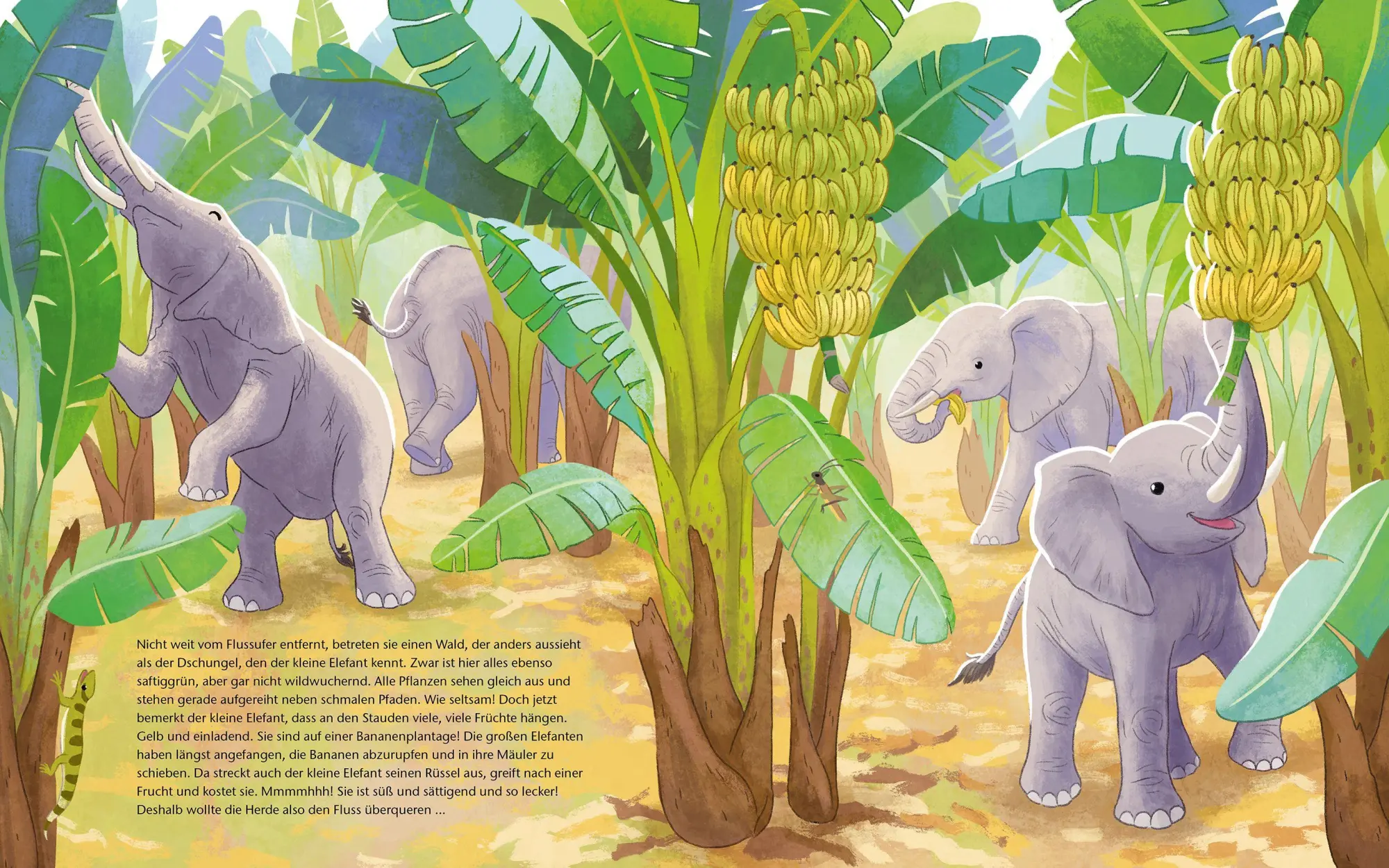 Bild: 9783734860225 | Der kleine Waldelefant - Zu Hause in Afrika | Scharmacher-Schreiber
