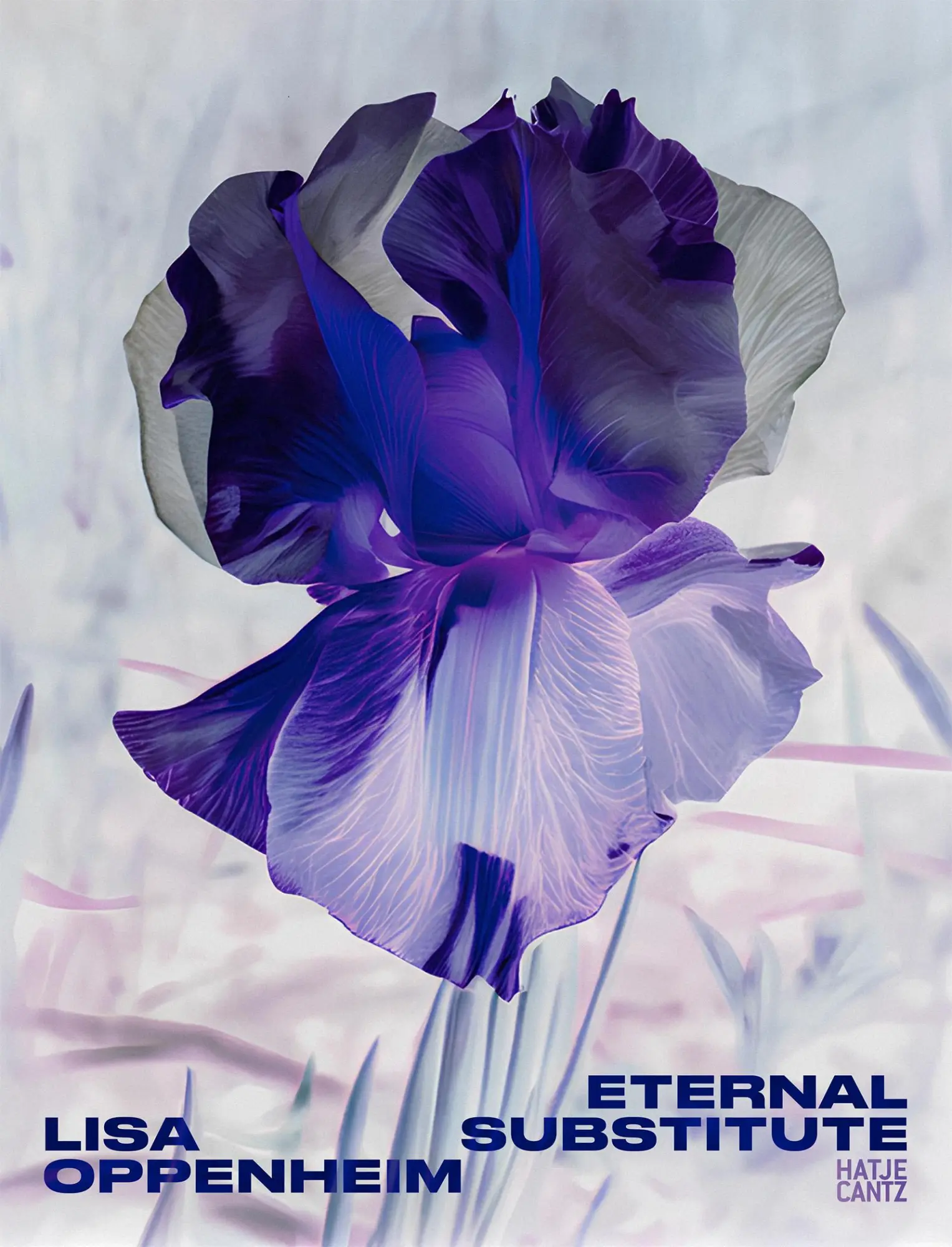 Cover: 9783775760225 | Lisa Oppenheim: The Eternal Substitute | Jacob Proctor | Buch | 228 S.